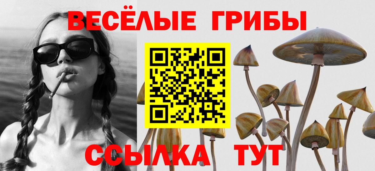 Галлюциногенные грибы прущие грибы  Вход с VPN  Белогорск 